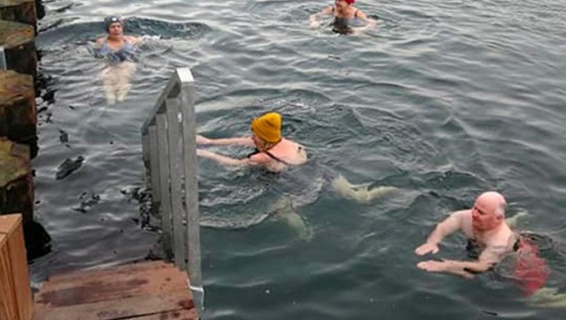 Vinterbadere i havnen i Bagenkop