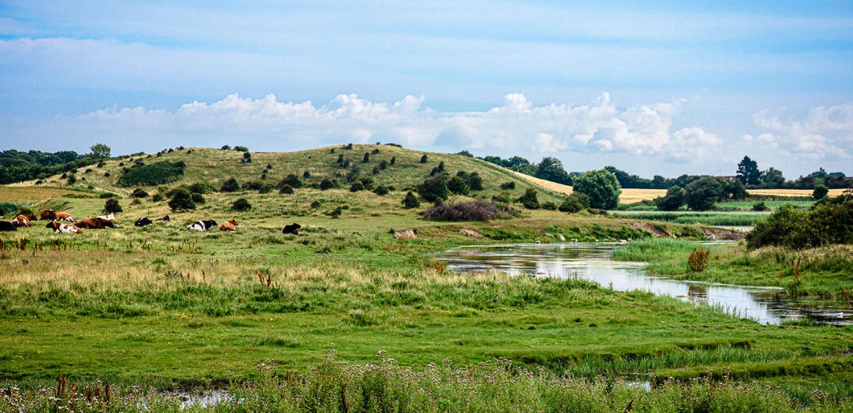 Vand, bakker og vild natur på Langeland