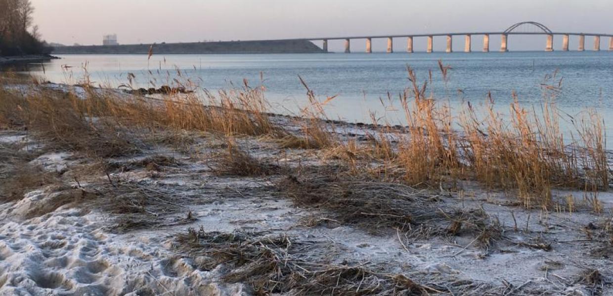 Øhavsstien i frostvejr - med kig til Langelandsbroen. Vinterferie på Langeland