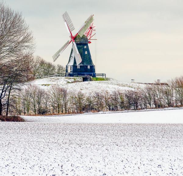 Skovsgaard Mølle med snedækkede marker