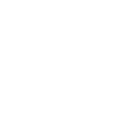 William Demant Fonden